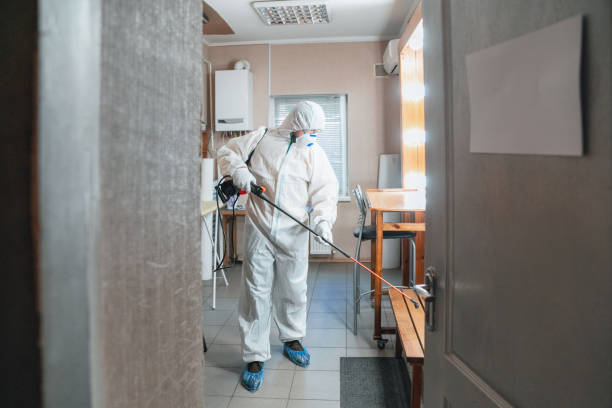 Best Mold Documentation for Insurance Claims  in Bemidji, MN