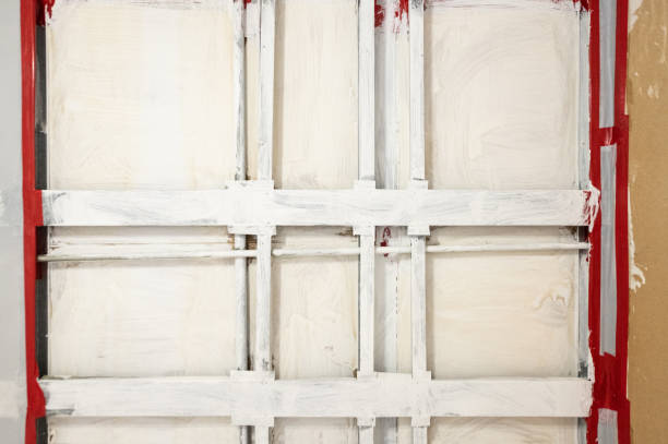 Best Commercial Mold Inspection  in Bemidji, MN