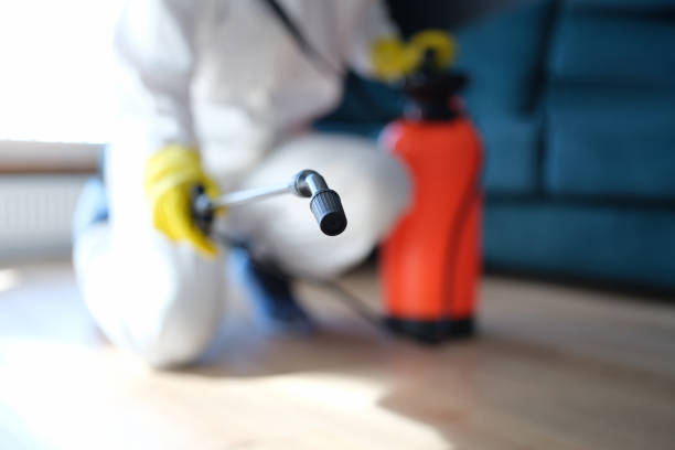 Best Mold Remediation for Healthcare Facilities  in Bemidji, MN
