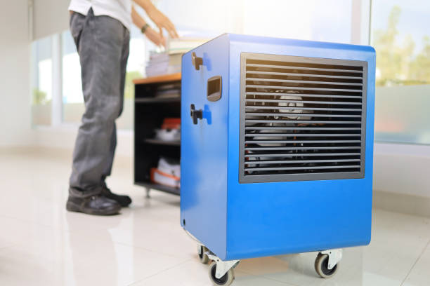 Best Real Estate Mold Inspection  in Bemidji, MN