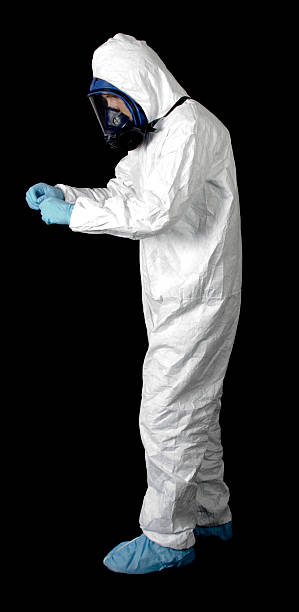 Reliable Bemidji, MN Mold Removal Solutions